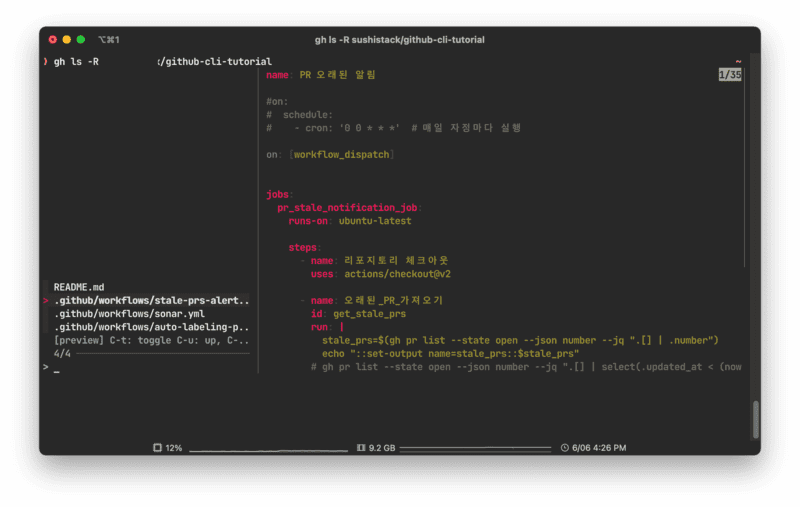 github-cli24