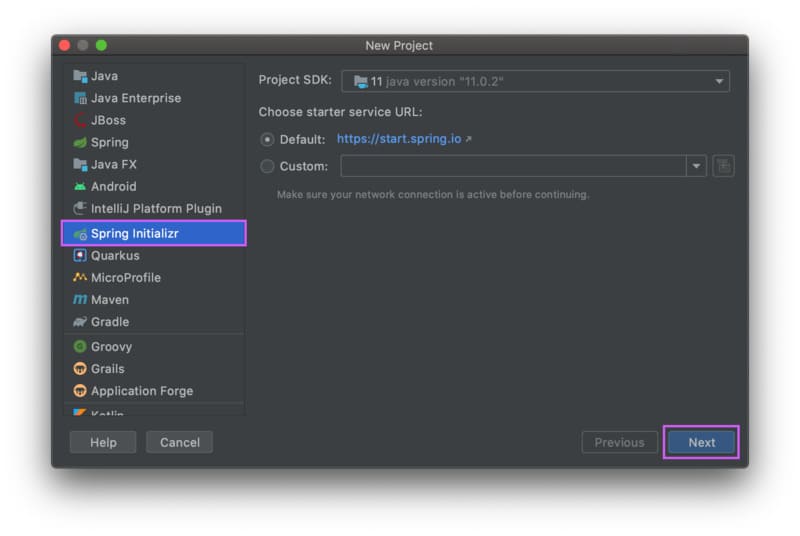 initialize spring project